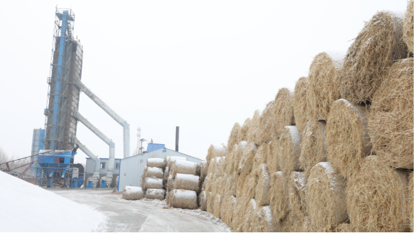 煤炭價格高，烘糧利潤低，吉林大安市500噸糧食烘干塔改用秸稈大包直燃鍋爐，每天省3萬